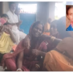 darbhanaga mango case