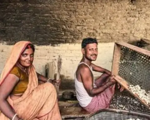 Darbhanga News: दरभंगा में शुरू हुआ डाक निर्यात केंद्र, विदेश भेजना आसान होगा मिथिला मखाना; टाटा-रिलायंस समेत बड़े ब्रांडों में बढ़ी प्रतिस्पर्धा