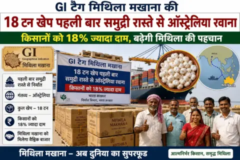 GI टैग मिथिला मखाना की 18 टन खेप पहली बार समुद्री रास्ते से ऑस्ट्रेलिया रवाना, किसानों को 18% ज्यादा दाम